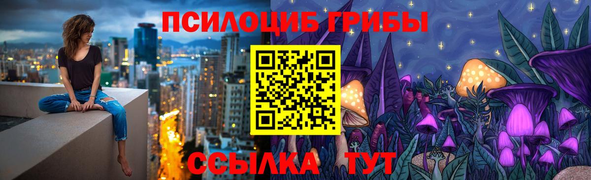 купить наркотики цена  Галлюциногенные грибы Cubensis  Вход с VPN  Галлюциногенные грибы Magic Shrooms  Коркино 